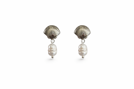 Sea shell studs