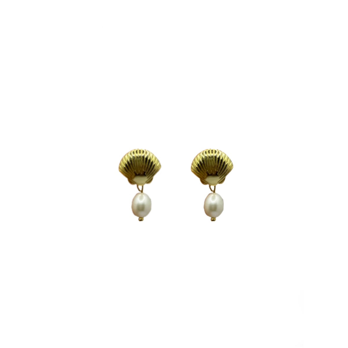 Sea shell studs