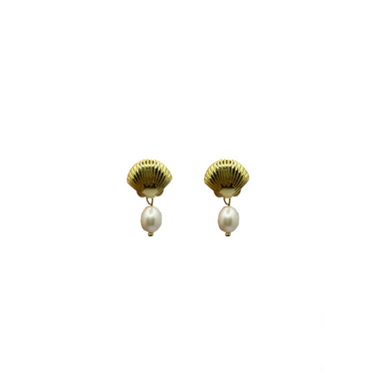 Sea shell studs